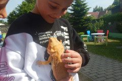 DSCN1351