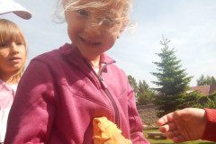 DSCN1353