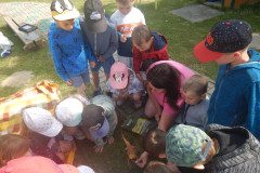 DSCN1363