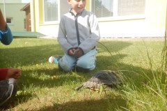 DSCN1370