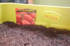 DSCN4959