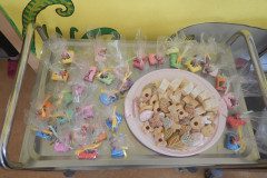 DSCN5033
