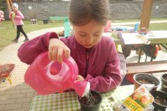 DSCN5050