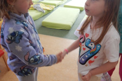 DSCN3690