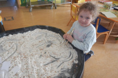 DSCN3779