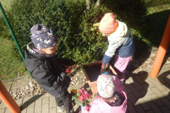 DSCN3783