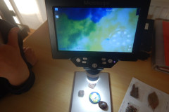 DSCN3842