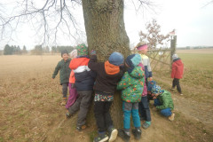 DSCN3879