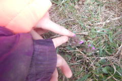 DSCN3886