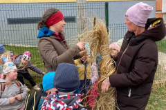 4d7ebe69-4957-40cf-8e78-82c27b0b0ff6