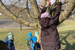 86b5b138-caa4-4670-94c1-12496485c985