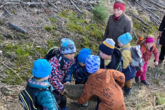 9a9615f9-1a60-47ae-846a-8aa49eefb651