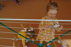 DSC05309
