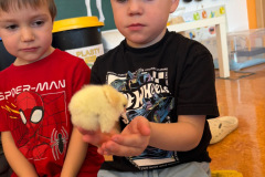 07f59cca-7619-4541-83df-f712f494b457