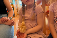 18fd7b4e-c7d2-4a98-a320-0fa664aef87d