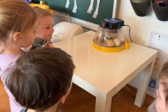 2638aa7a-2fd2-4de8-a120-44d4f074d562