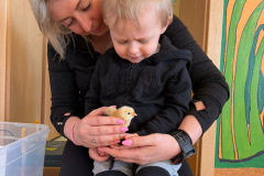 2699cca2-2bb4-4e1c-8cfd-c44d02e4d0d1