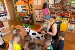 2a810f1a-4ebf-43df-a80d-14239659c6ed