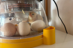 2d0ff20f-d153-4f1f-b386-5282f6c7e0c7