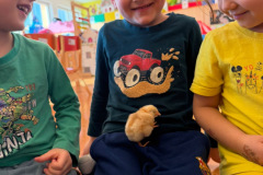 3fe13d10-3276-48ea-9901-b4f860ac7850