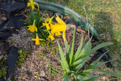 57af6a5f-ae51-4276-8a64-f798c0161700