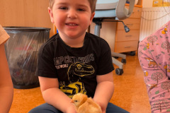 88501aa7-8e19-48fb-8ece-98f0fcdd5d73