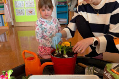 IMG-20260320-WA0013