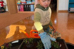 IMG-20260320-WA0015