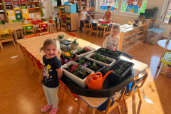 IMG-20260320-WA0016