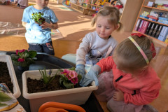 PXL_20260319_064528346