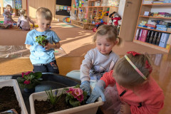 PXL_20260319_064529650