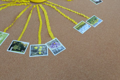 PXL_20260320_075101567