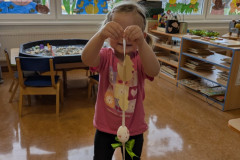 PXL_20260331_061205110