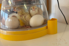 c69f570a-e89d-4099-92e5-92171c335028