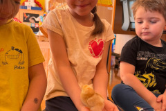 cda194e3-0966-4337-80cb-e3aa59085837