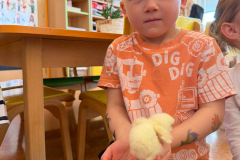 cddfafe6-97dd-4a9d-967f-540fb3dc3156