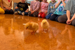 ebac8962-d646-4ff4-9636-c565146c34e4