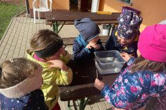 IMG-20230322-WA0045