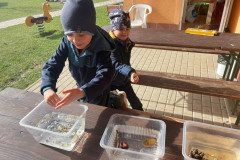 IMG-20230322-WA0046