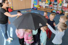 IMG_20230315_084134