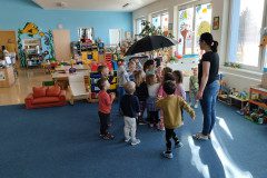 IMG_20230315_084146