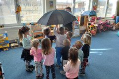 IMG_20230315_084255