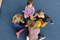 IMG_20230316_092802