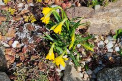 IMG_20230322_101331