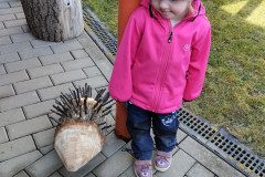 IMG_20230322_110933