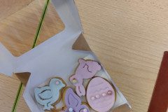 IMG_20230327_092528