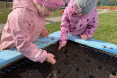 IMG-20260311-WA0010
