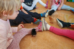 IMG-20260313-WA0023