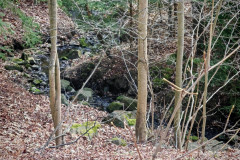 IMG-20260325-WA0001