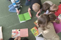 IMG-4749